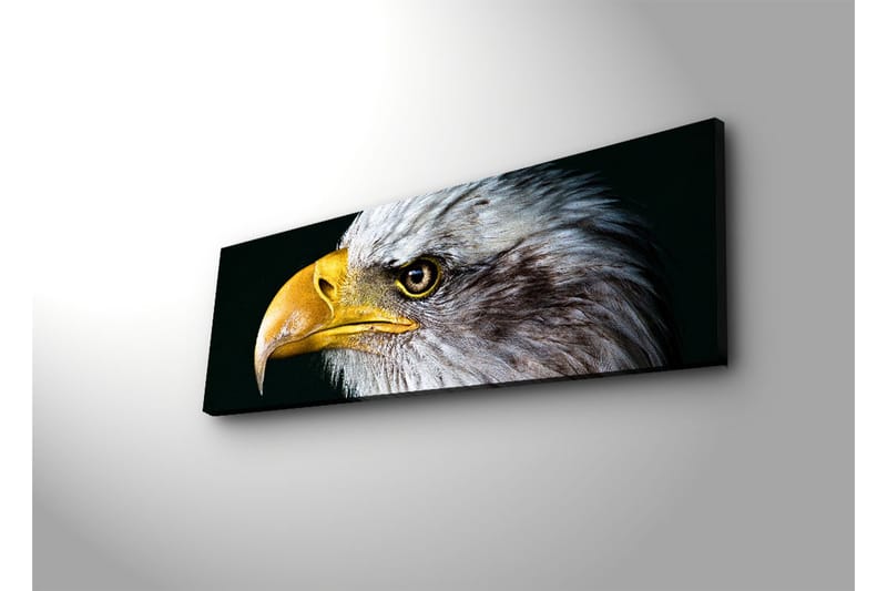 Dekorativ Canvasbilde LED-belysning - Flerfarget - Innredning - Bilder & kunst - Lerretsbilder