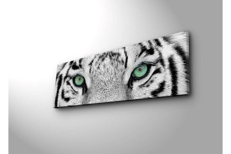 Dekorativ Canvasbilde LED-belysning - Flerfarget - Innredning - Bilder & kunst - Lerretsbilder