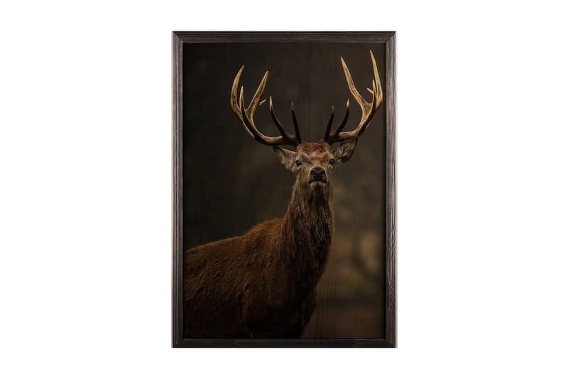 Dekorativ InnRammemet maling 50x70 cm - Flerfarget - Innredning - Bilder & kunst - Lerretsbilder