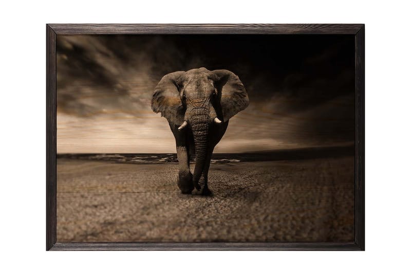 Dekorativ InnRammemet maling 50x70 cm - Flerfarget - Innredning - Bilder & kunst - Lerretsbilder
