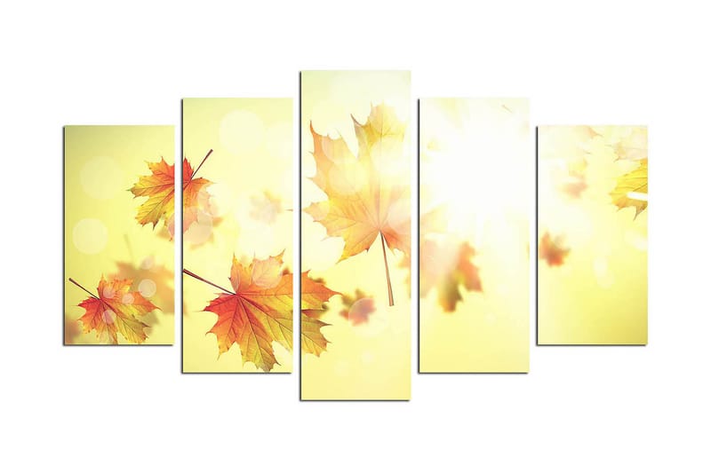 Dekorativ MDF-bilde 5 Deler - Flerfarget - Innredning - Bilder & kunst - Lerretsbilder