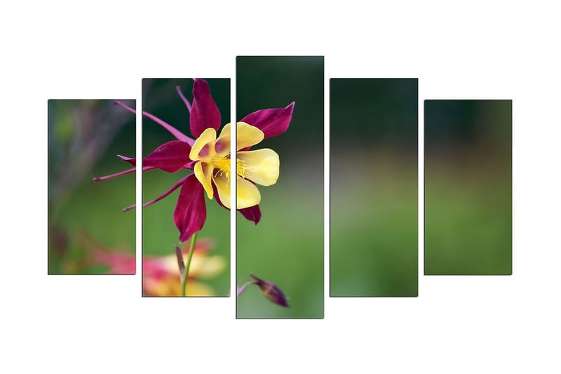 Dekorativ MDF-bilde 5 Deler - Flerfarget - Innredning - Bilder & kunst - Lerretsbilder