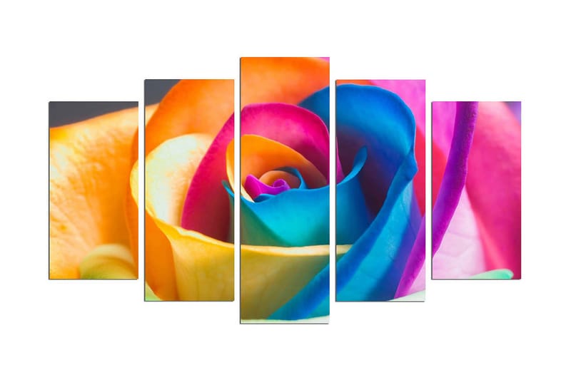 Dekorativ MDF-bilde 5 Deler - Flerfarget - Innredning - Bilder & kunst - Lerretsbilder