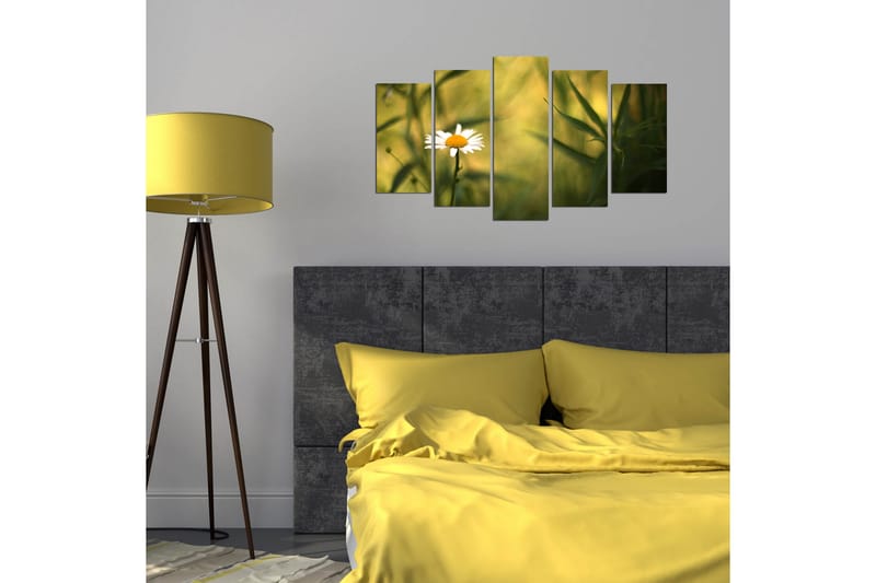 Dekorativ MDF-bilde 5 Deler - Flerfarget - Innredning - Bilder & kunst - Lerretsbilder