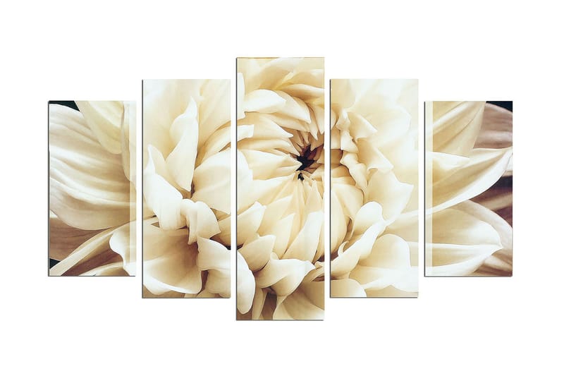 Dekorativ MDF-bilde 5 Deler - Flerfarget - Innredning - Bilder & kunst - Lerretsbilder