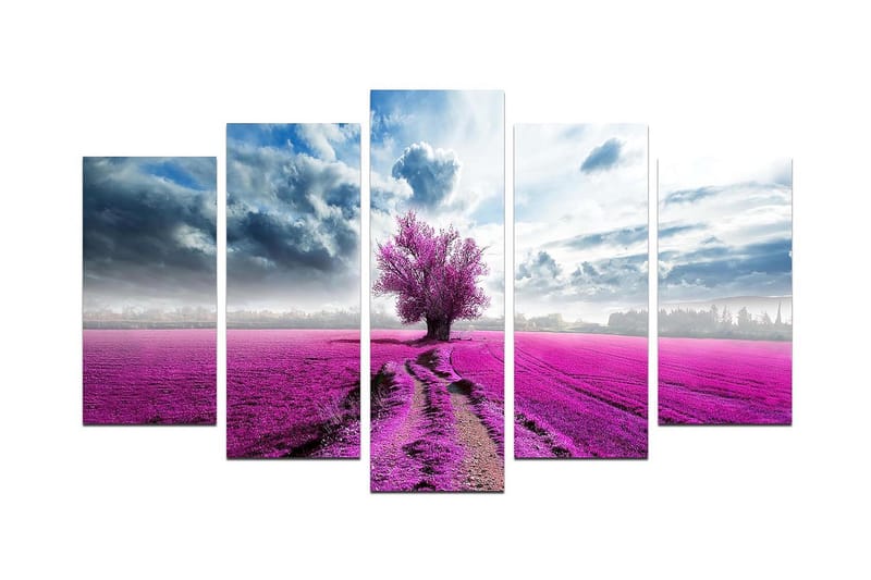 Dekorativ MDF-bilde 5 Deler - Flerfarget - Innredning - Bilder & kunst - Lerretsbilder