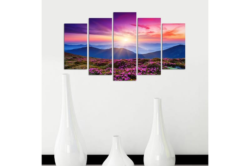 Dekorativ MDF-bilde 5 Deler - Flerfarget - Innredning - Bilder & kunst - Lerretsbilder