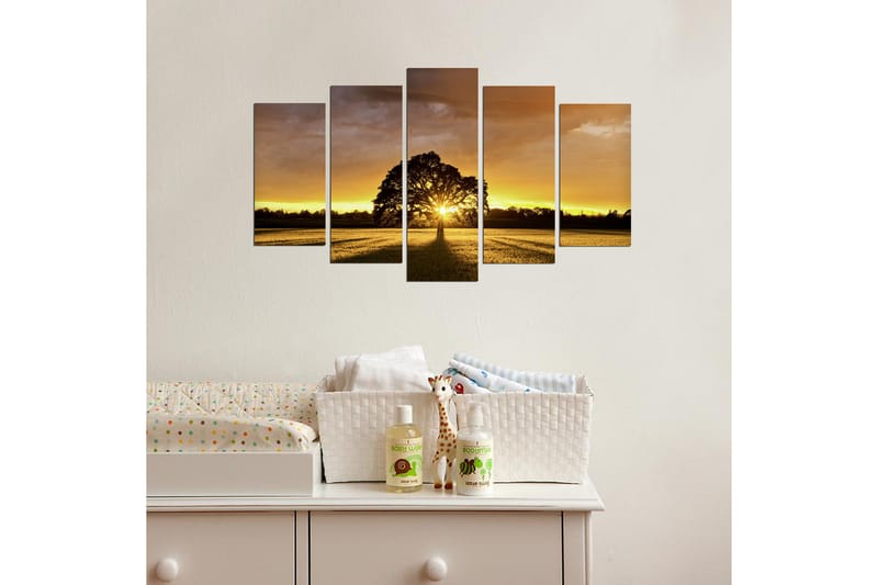 Dekorativ MDF-bilde 5 Deler - Flerfarget - Innredning - Bilder & kunst - Lerretsbilder