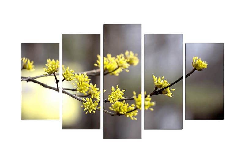 Dekorativ MDF-bilde 5 Deler - Flerfarget - Innredning - Bilder & kunst - Lerretsbilder