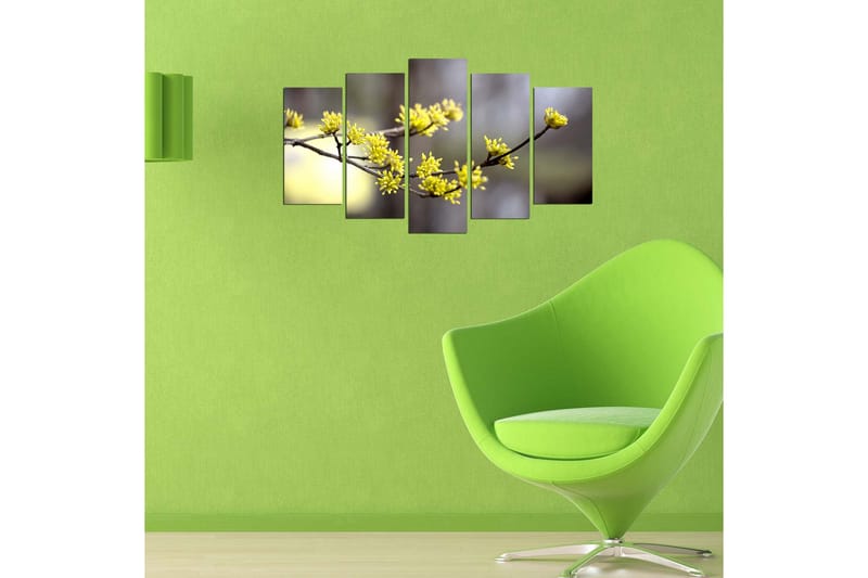 Dekorativ MDF-bilde 5 Deler - Flerfarget - Innredning - Bilder & kunst - Lerretsbilder