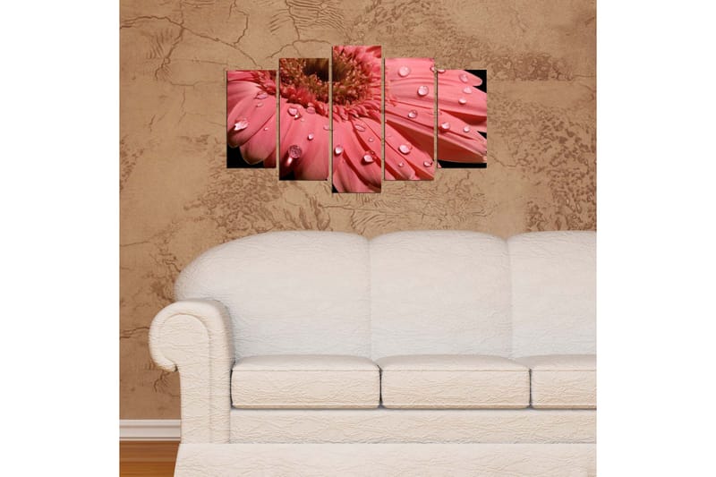 Dekorativ MDF-bilde 5 Deler - Flerfarget - Innredning - Bilder & kunst - Lerretsbilder