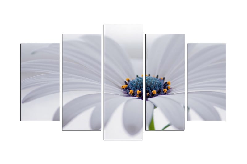 Dekorativ MDF-bilde 5 Deler - Flerfarget - Innredning - Bilder & kunst - Lerretsbilder