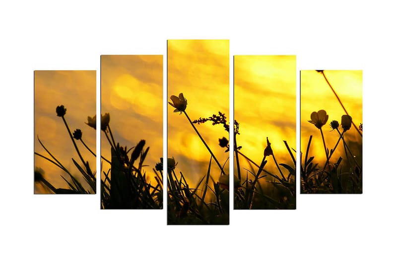 Dekorativ MDF-bilde 5 Deler - Flerfarget - Innredning - Bilder & kunst - Lerretsbilder