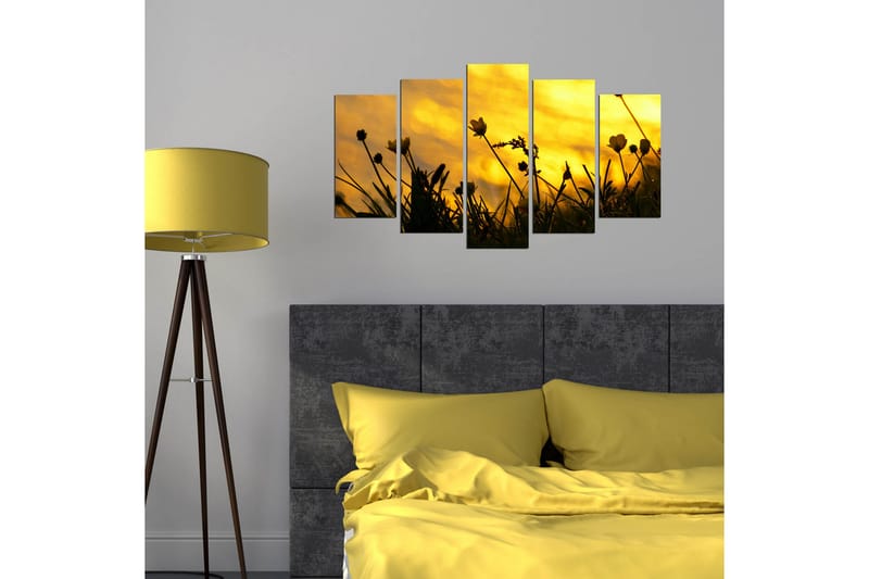 Dekorativ MDF-bilde 5 Deler - Flerfarget - Innredning - Bilder & kunst - Lerretsbilder