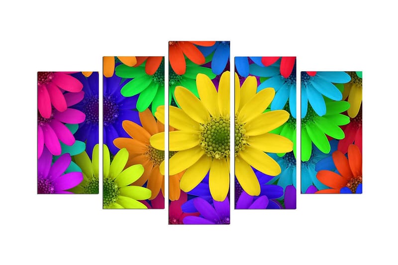 Dekorativ MDF-bilde 5 Deler - Flerfarget - Innredning - Bilder & kunst - Lerretsbilder