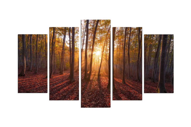 Dekorativ MDF-bilde 5 Deler - Flerfarget - Innredning - Bilder & kunst - Lerretsbilder