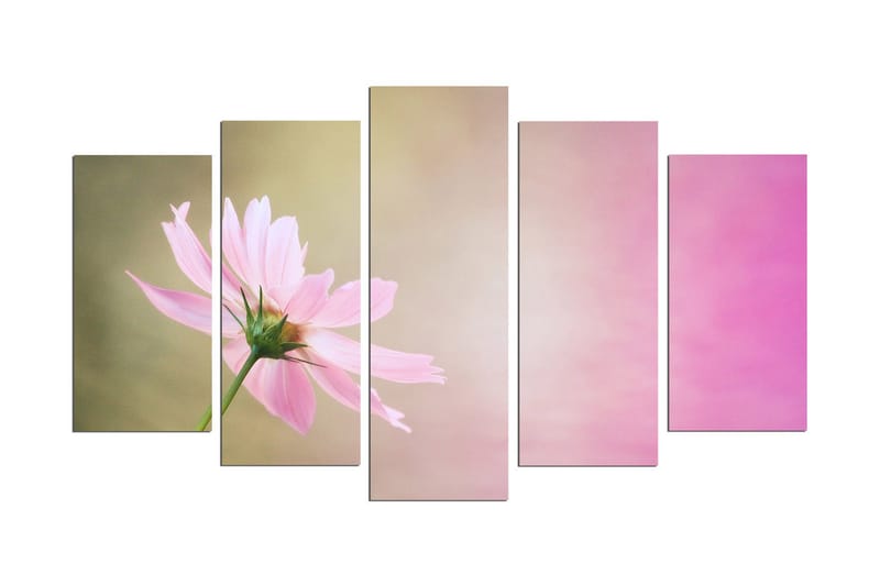 Dekorativ MDF-bilde 5 Deler - Flerfarget - Innredning - Bilder & kunst - Lerretsbilder