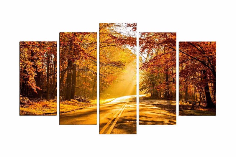 Dekorativ MDF-bilde 5 Deler - Flerfarget - Innredning - Bilder & kunst - Lerretsbilder