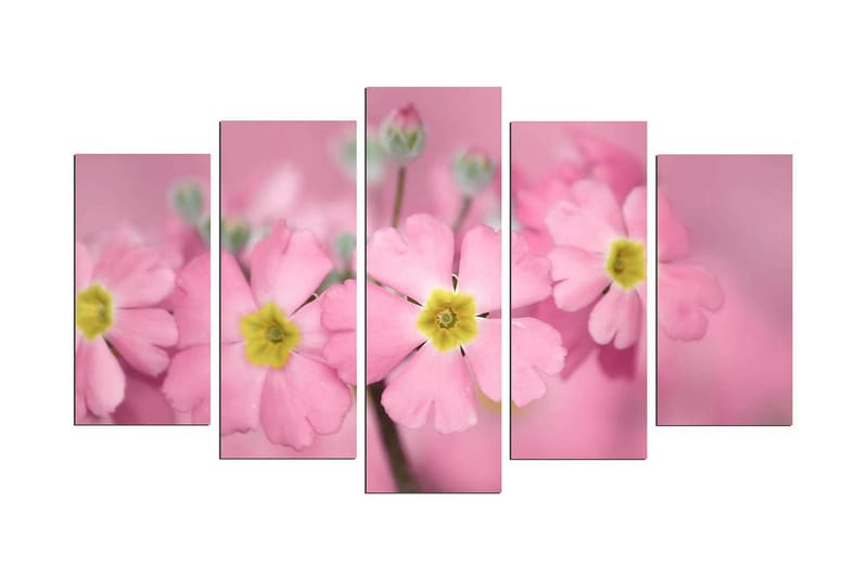 Dekorativ MDF-bilde 5 Deler - Flerfarget - Innredning - Bilder & kunst - Lerretsbilder