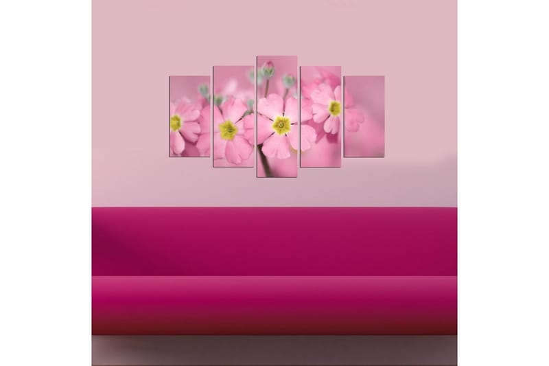 Dekorativ MDF-bilde 5 Deler - Flerfarget - Innredning - Bilder & kunst - Lerretsbilder