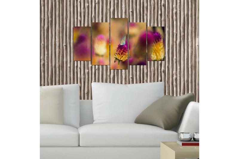 Dekorativ MDF-bilde 5 Deler - Flerfarget - Innredning - Bilder & kunst - Lerretsbilder
