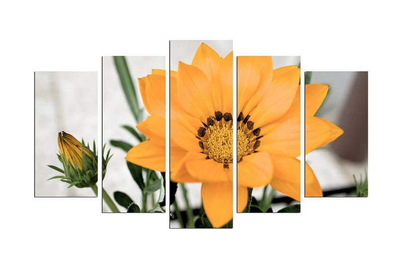 Dekorativ MDF-bilde 5 Deler - Flerfarget - Innredning - Bilder & kunst - Lerretsbilder