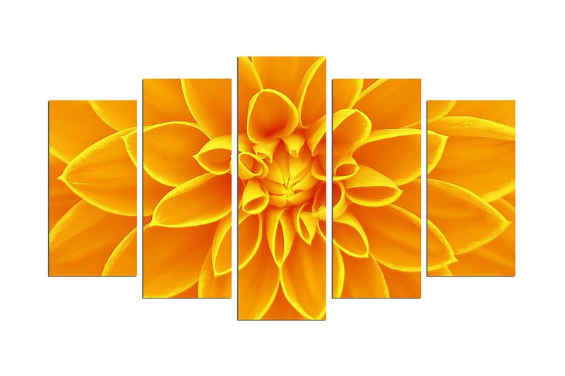Dekorativ MDF-bilde 5 Deler - Flerfarget - Innredning - Bilder & kunst - Lerretsbilder