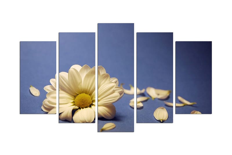 Dekorativ MDF-bilde 5 Deler - Flerfarget - Innredning - Bilder & kunst - Lerretsbilder