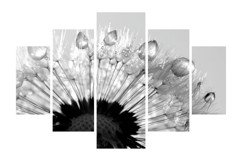 Dekorativ MDF-bilde 5 Deler - Flerfarget - Innredning - Bilder & kunst - Lerretsbilder