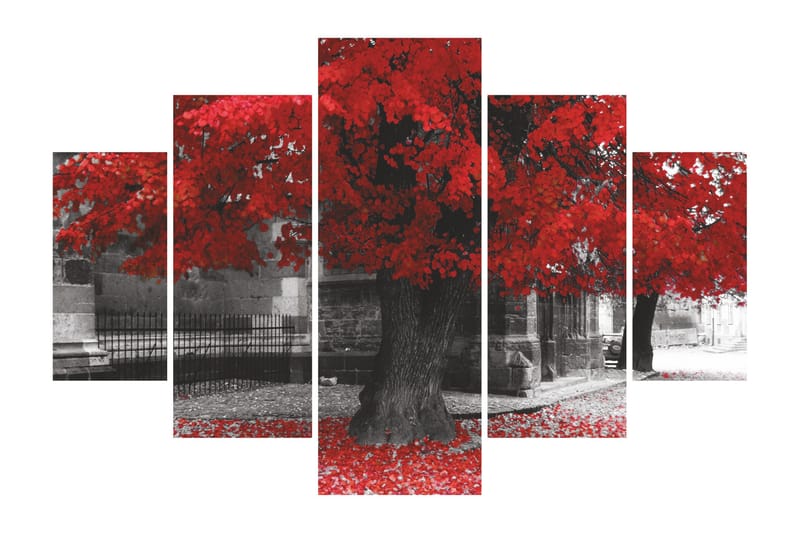 Dekorativ MDF-bilde 5 Deler - Flerfarget - Innredning - Bilder & kunst - Lerretsbilder