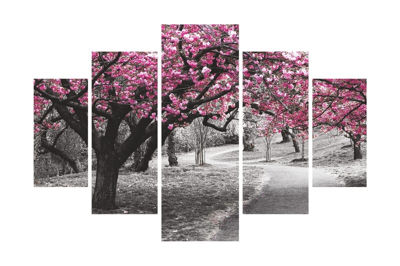 Dekorativ MDF-bilde 5 Deler - Flerfarget - Innredning - Bilder & kunst - Lerretsbilder