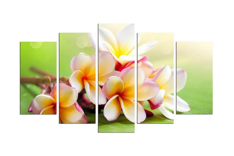 Dekorativ MDF-bilde 5 Deler - Flerfarget - Innredning - Bilder & kunst - Lerretsbilder