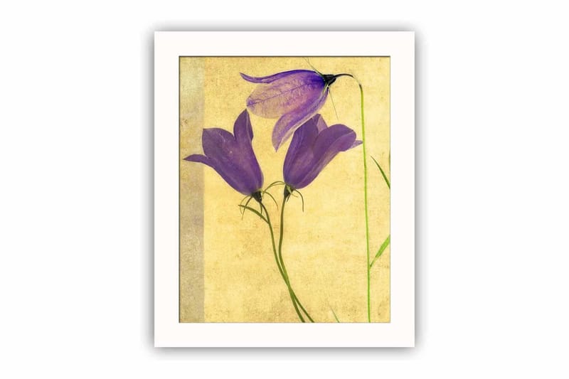 Dekorativ MDF-bilde - Flerfarget - Innredning - Bilder & kunst - Lerretsbilder