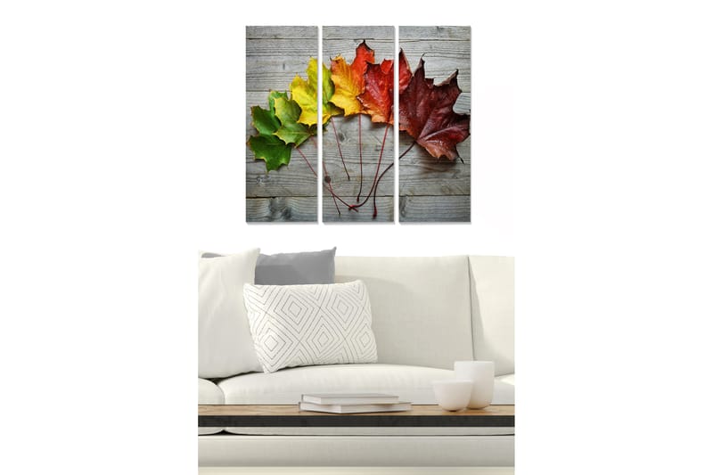 Dekorativ MDF-maling 3-Deler 20x50 cm - Flerfarget - Innredning - Bilder & kunst - Lerretsbilder