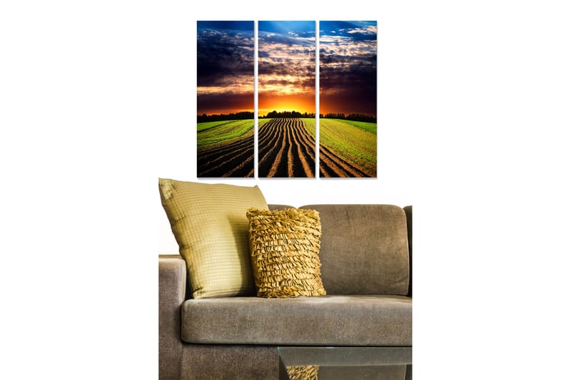 Dekorativ MDF-maling 3-Deler 20x50 cm - Flerfarget - Innredning - Bilder & kunst - Lerretsbilder