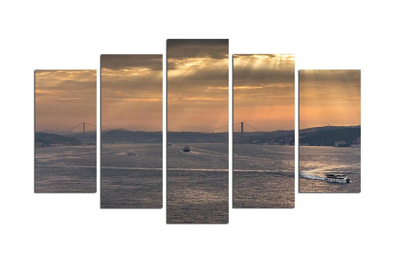 Dekorativ MDF-maling 5-Deler 20x60 cm, Flerfarget