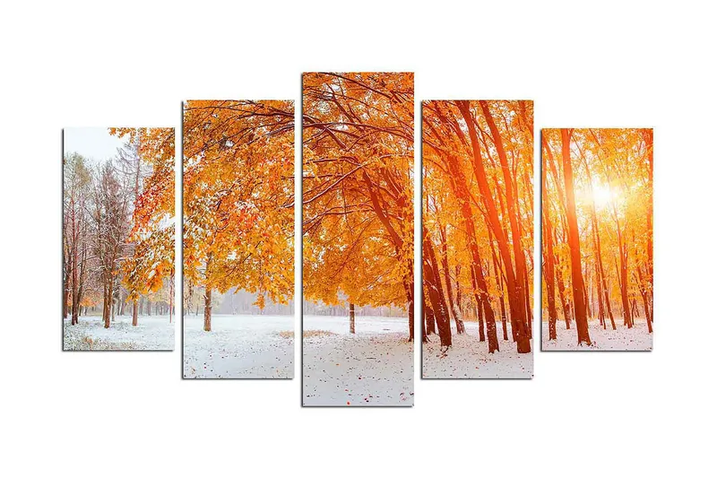 Dekorativ MDF-maling 5-Deler 20x60 cm, Flerfarget