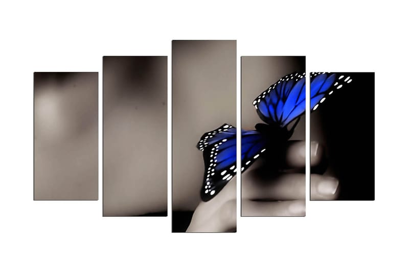 Dekorativ MDF-maling 5-Deler 20x60 cm, Flerfarget