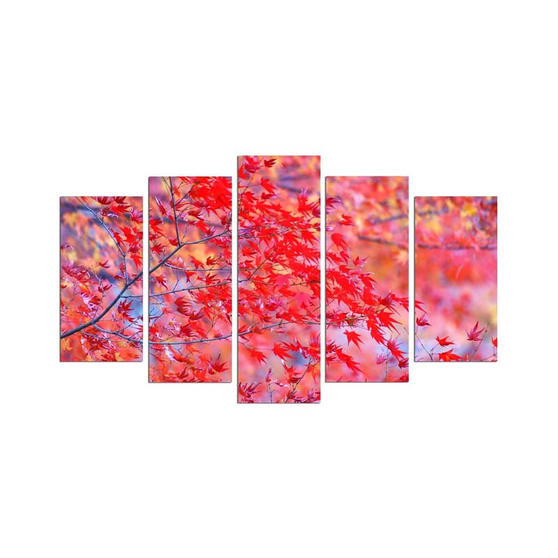 Dekorativ MDF-maling 5-Deler 20x60 cm, Flerfarget