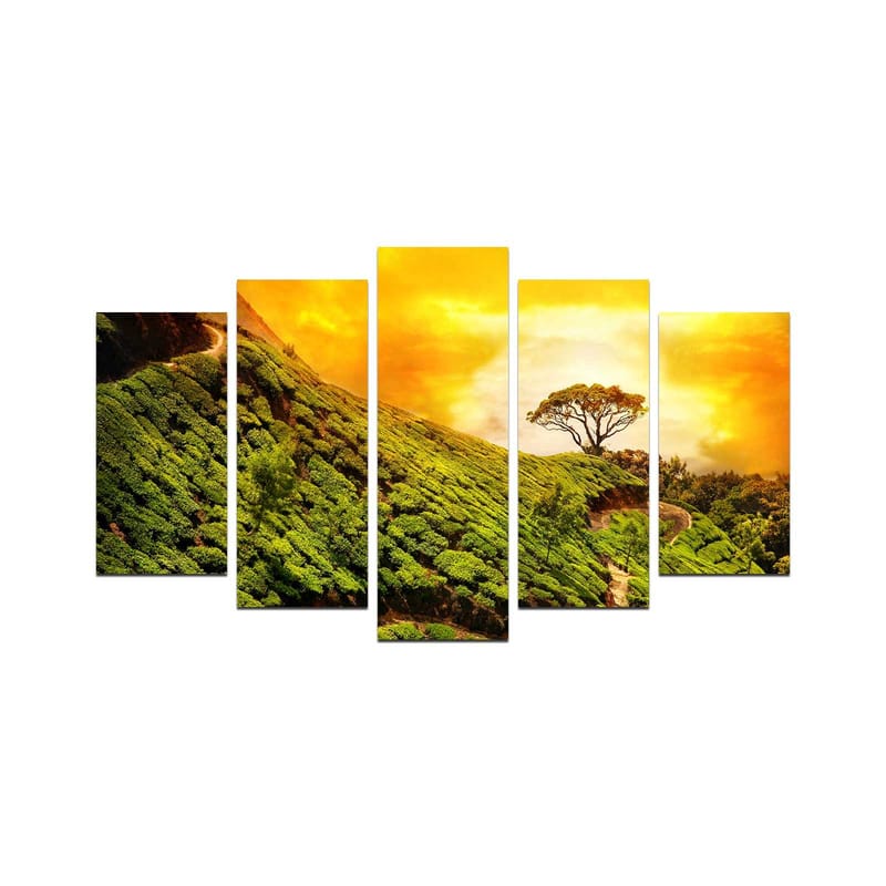 Dekorativ MDF-maling 5-Deler 20x60 cm, Flerfarget