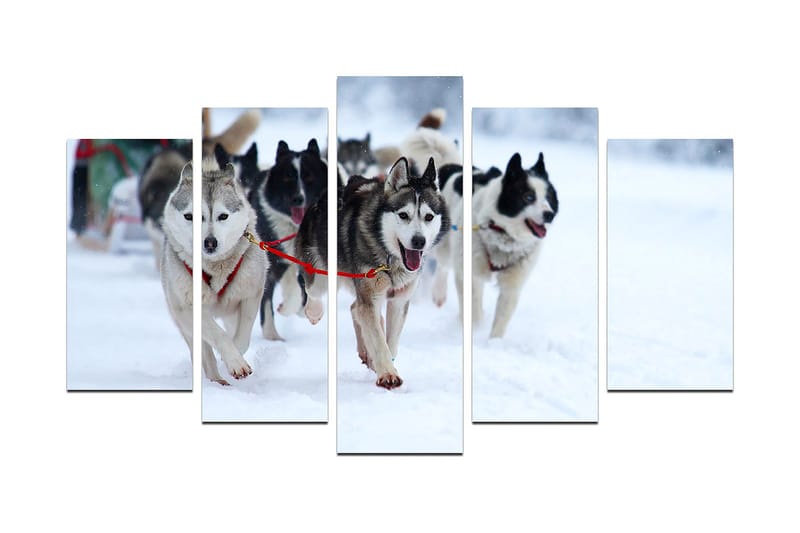 Dekorativ MDF-maling 5-Deler 20x60 cm, Flerfarget