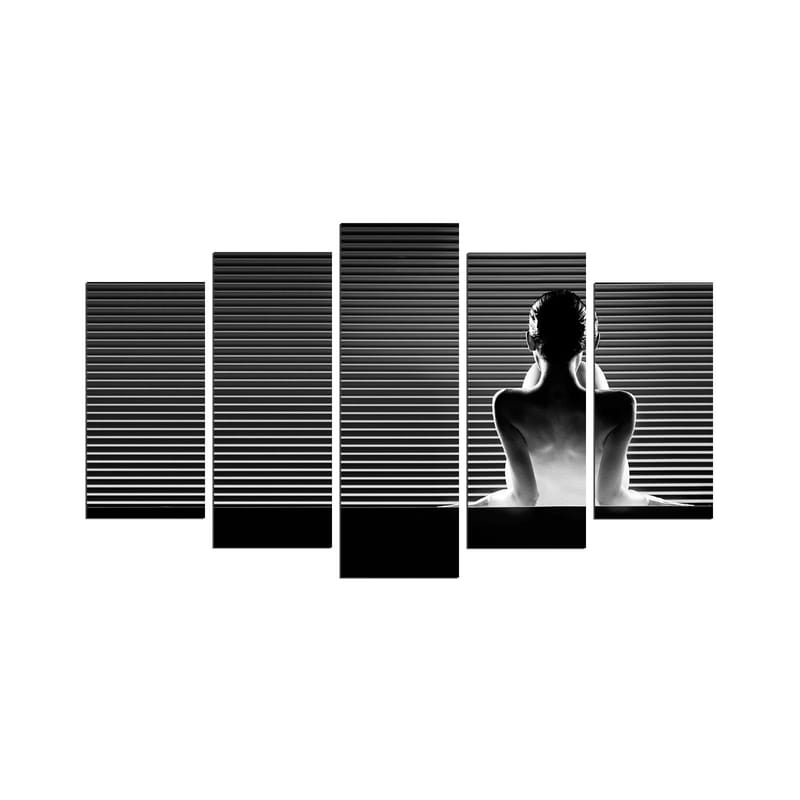 Dekorativ MDF-maling 5-Deler 20x60 cm, Flerfarget