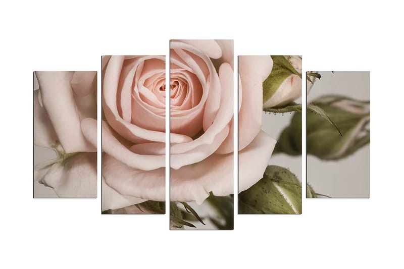 Dekorativt MDF-maleri (5 stk) 20x60, undefined