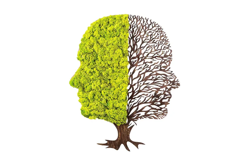 Green And Dry Canvasbilde, Grønn/Brun