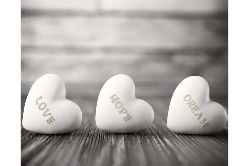 Kanvas Sephia, 40x50 cm