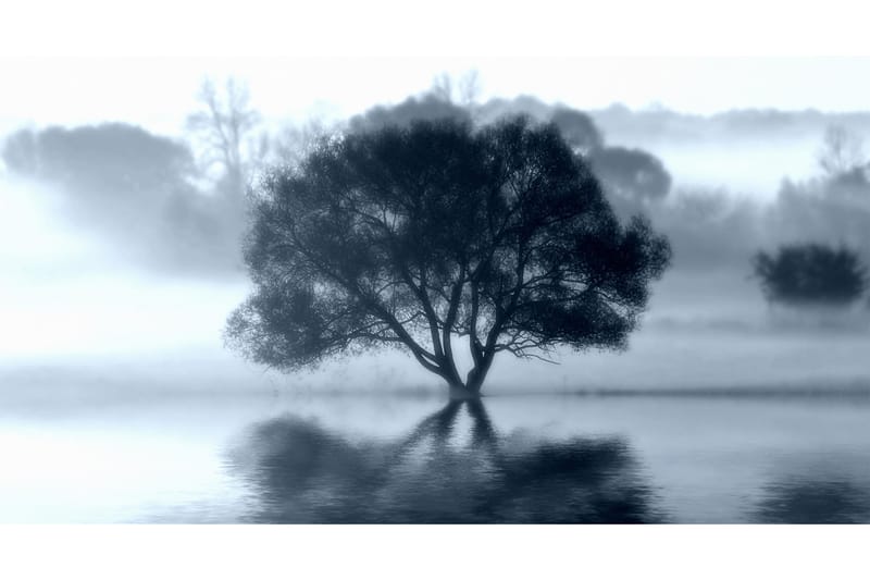 Kanvas Sprint Tree - 70x130cm - Lerretsbilder