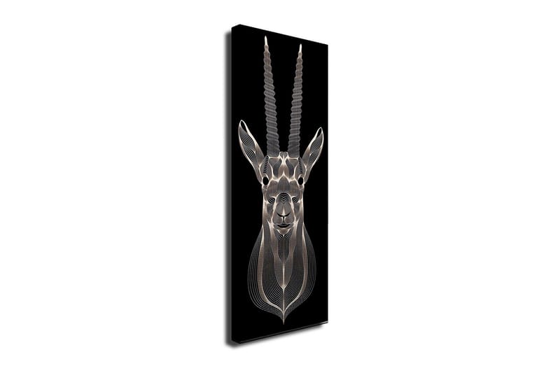 Lerretsbilde 30x80 cm - Stilisert bilde av en antilope med detaljerte linjer - Svart / Grå / Hvit - Innredning - Bilder & kunst - Lerretsbilder