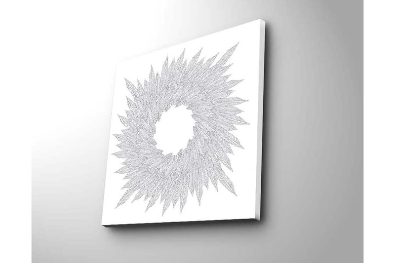 Lerretsbilde 45x45 cm - Abstrakt komposisjon av bladformede mønstre i en sirkulær formasjon - Hvit / Grå - Innredning - Bilder & kunst - Lerretsbilder