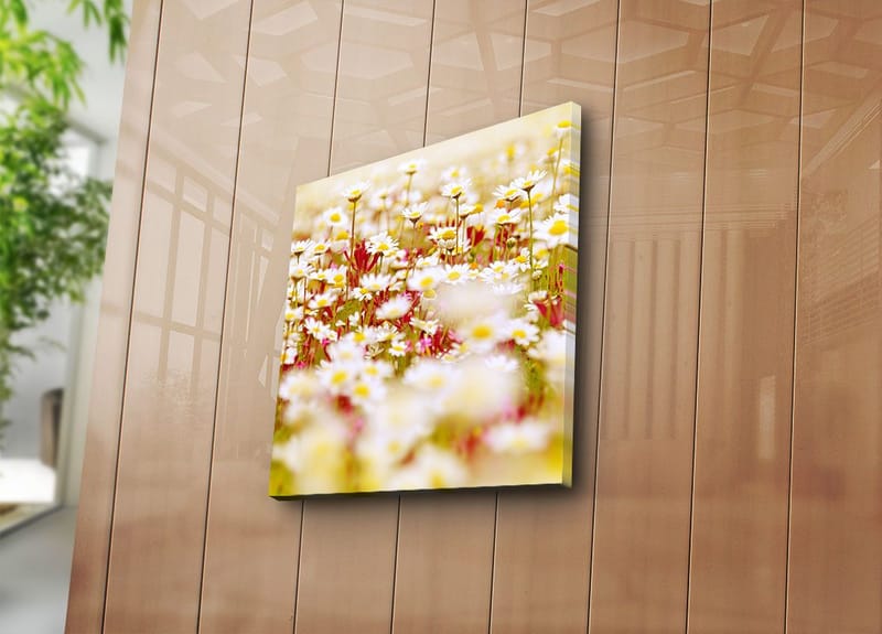 Lerretsbilde 45x45 cm - Blomsterfelt i forskjellige nyanser av hvitt og gult - Hvit / Gul / Grønn - Innredning - Bilder & kunst - Lerretsbilder