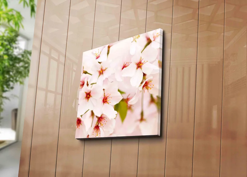 Lerretsbilde 45x45 cm - Blomstrende kirsebærblomster i pastellfarger - Lys rosa / Hvit / Grønn - Innredning - Bilder & kunst - Lerretsbilder